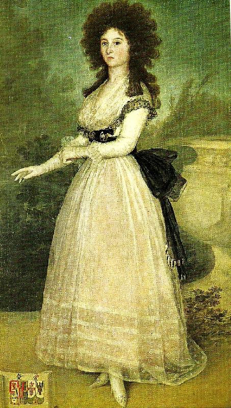 Francisco de Goya dona tadea arias de enriquez oil painting image